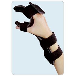 ΠΗΧΕΟΚΑΡΠΙΚΟΣ ΝΑΡΘΗΚΑΣ - ΑΚΙΝΗΤΟΠΟΙΗΣΗΣ